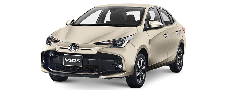 Xe màu Nâu ánh vàng (4R0) 4R0